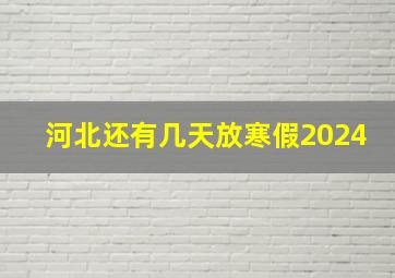 河北还有几天放寒假2024