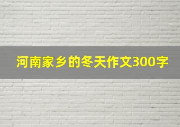 河南家乡的冬天作文300字