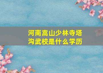 河南嵩山少林寺塔沟武校是什么学历