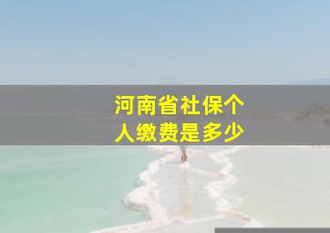 河南省社保个人缴费是多少