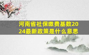 河南省社保缴费基数2024最新政策是什么意思