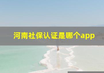 河南社保认证是哪个app