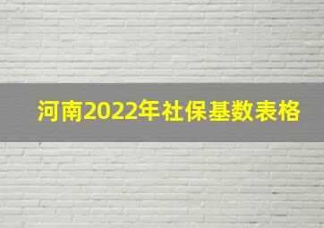 河南2022年社保基数表格