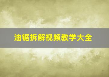 油锯拆解视频教学大全