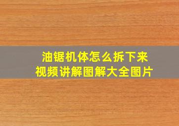 油锯机体怎么拆下来视频讲解图解大全图片