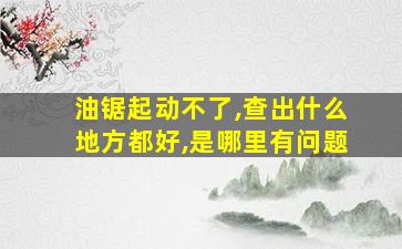 油锯起动不了,查出什么地方都好,是哪里有问题