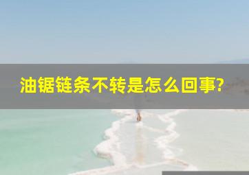 油锯链条不转是怎么回事?