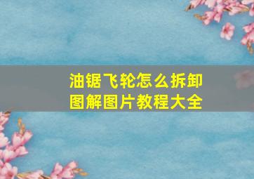 油锯飞轮怎么拆卸图解图片教程大全