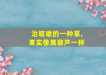 治咳嗽的一种草,果实像黑葫芦一样