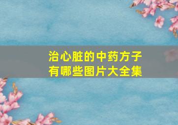 治心脏的中药方子有哪些图片大全集