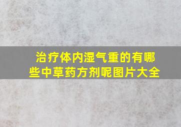 治疗体内湿气重的有哪些中草药方剂呢图片大全