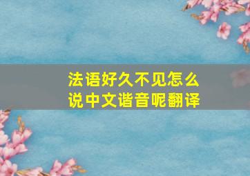 法语好久不见怎么说中文谐音呢翻译