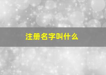 注册名字叫什么