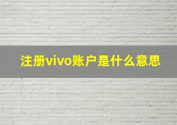 注册vivo账户是什么意思