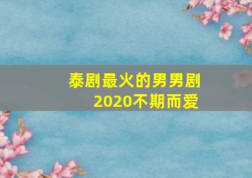 泰剧最火的男男剧2020不期而爱