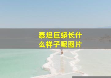 泰坦巨蟒长什么样子呢图片