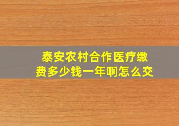 泰安农村合作医疗缴费多少钱一年啊怎么交