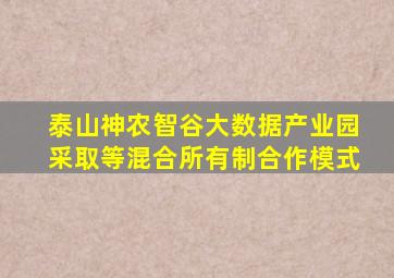 泰山神农智谷大数据产业园采取等混合所有制合作模式