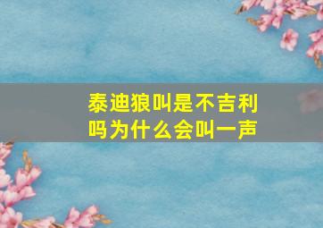 泰迪狼叫是不吉利吗为什么会叫一声