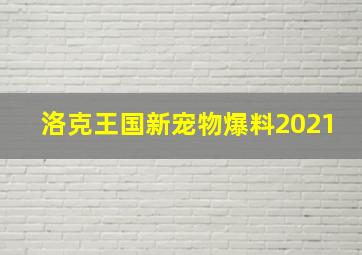 洛克王国新宠物爆料2021