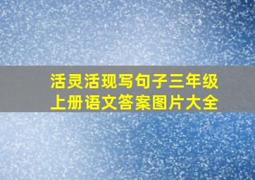 活灵活现写句子三年级上册语文答案图片大全