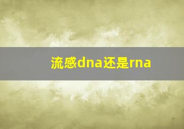 流感dna还是rna