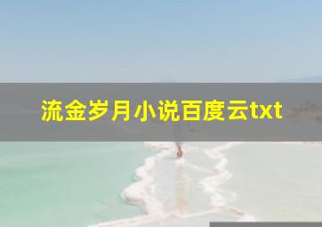 流金岁月小说百度云txt