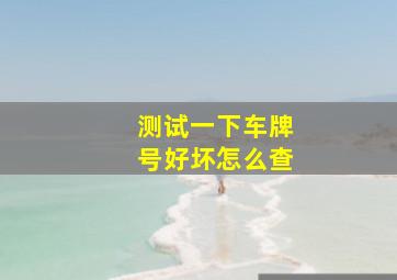 测试一下车牌号好坏怎么查