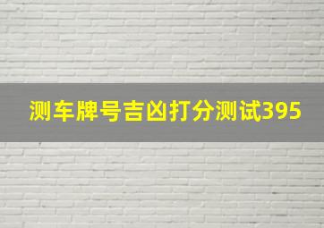 测车牌号吉凶打分测试395