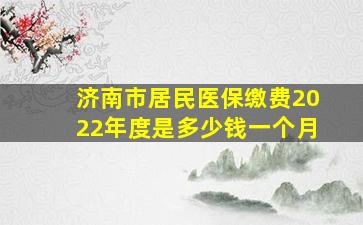 济南市居民医保缴费2022年度是多少钱一个月