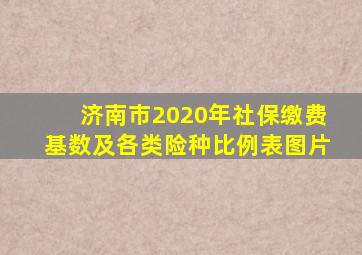 济南市2020年社保缴费基数及各类险种比例表图片