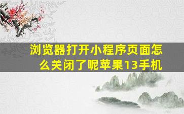 浏览器打开小程序页面怎么关闭了呢苹果13手机