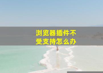 浏览器插件不受支持怎么办