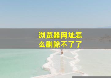 浏览器网址怎么删除不了了