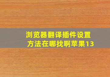 浏览器翻译插件设置方法在哪找啊苹果13