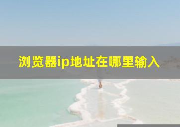 浏览器ip地址在哪里输入