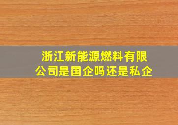 浙江新能源燃料有限公司是国企吗还是私企