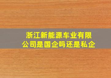 浙江新能源车业有限公司是国企吗还是私企