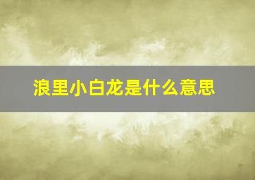 浪里小白龙是什么意思