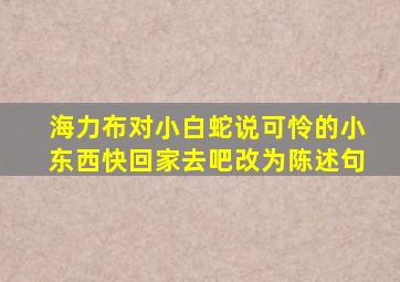 海力布对小白蛇说可怜的小东西快回家去吧改为陈述句