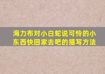 海力布对小白蛇说可怜的小东西快回家去吧的描写方法