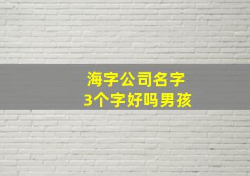 海字公司名字3个字好吗男孩