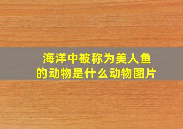 海洋中被称为美人鱼的动物是什么动物图片