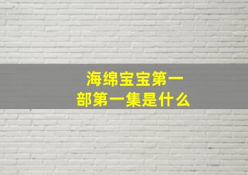 海绵宝宝第一部第一集是什么