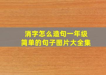 消字怎么造句一年级简单的句子图片大全集