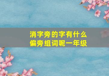 消字旁的字有什么偏旁组词呢一年级