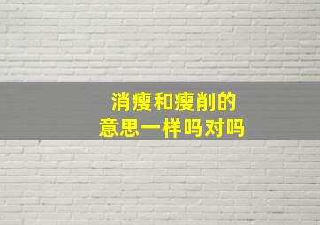 消瘦和瘦削的意思一样吗对吗