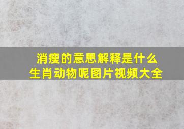 消瘦的意思解释是什么生肖动物呢图片视频大全