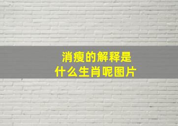 消瘦的解释是什么生肖呢图片