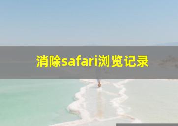 消除safari浏览记录